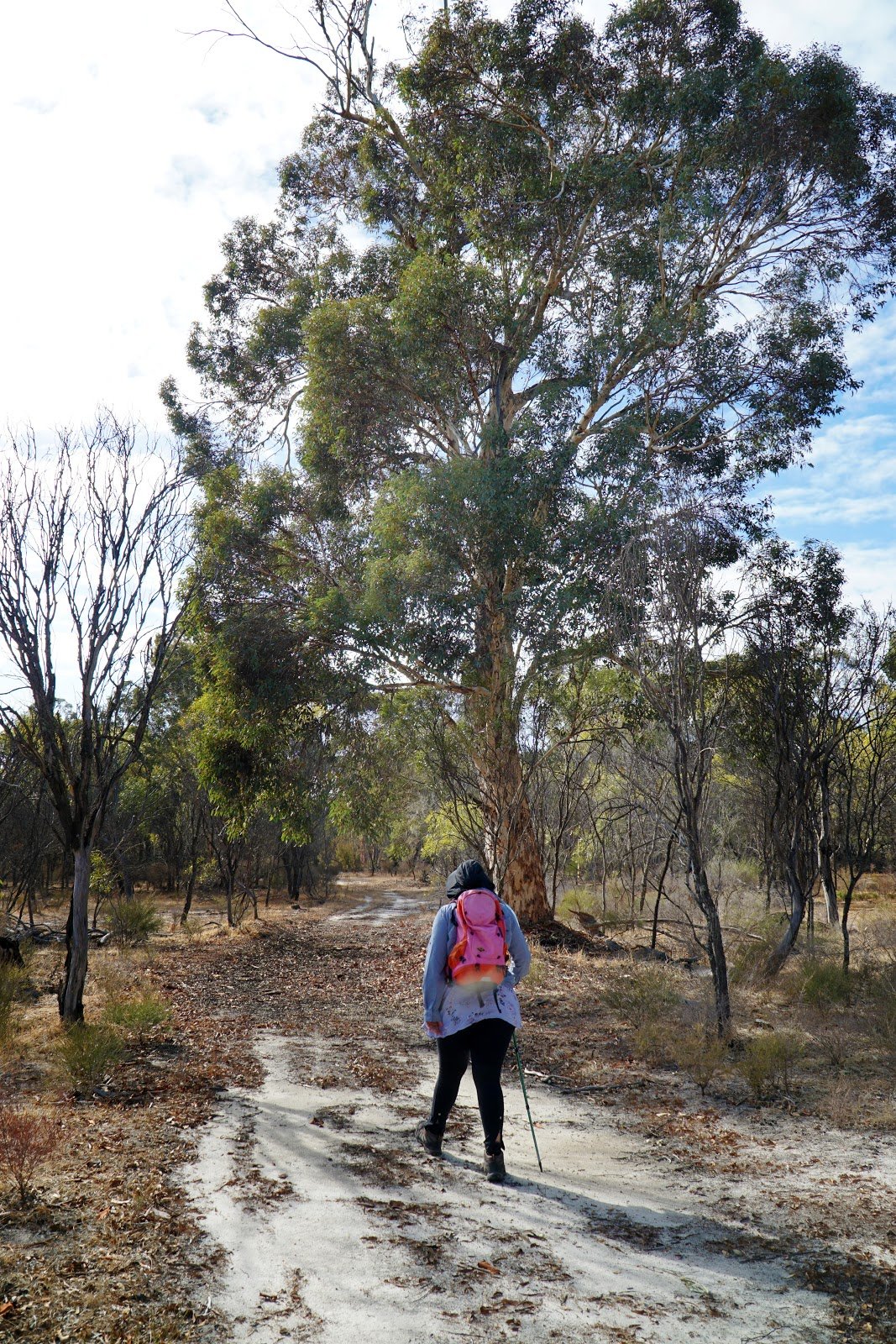 🚶 목금길(못킨 로도)